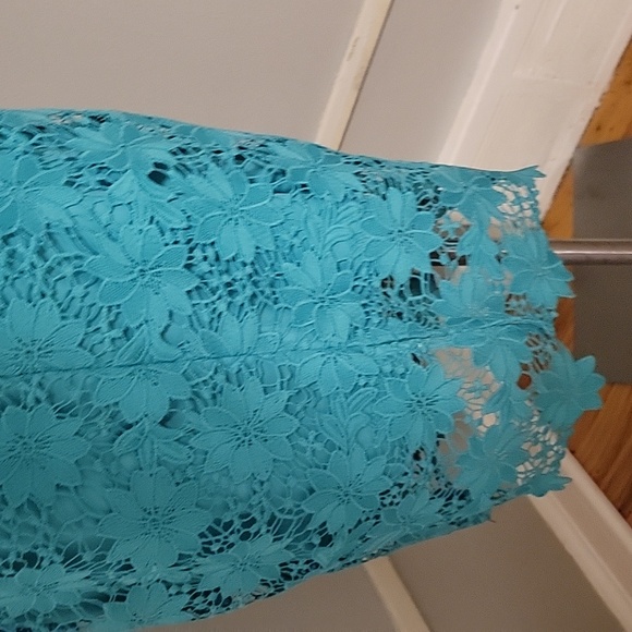 Bisou Bisou Lace Cocktail Dress - Picture 6 of 6